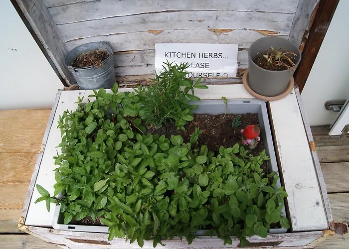 Riverlodge Tcs Training & Freizeit Ag Хостел *