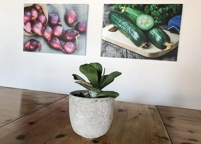 Riverlodge Tcs Training & Freizeit Ag *